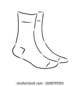 socks. Sketch style. Editable Vector Illustration isolated on white background. socks, vector sketch illustration