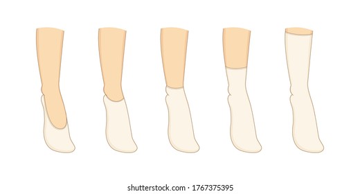 Socks types set. Vector illustration. Womans underwear collection.