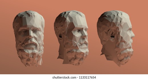 Socrates Head Vector 3D Rendering