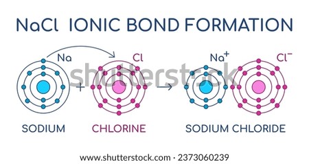 Sodium Chloride ionic bond formation. NaCl structure. Sodium and Chlorine atom chemical reaction. Electron transfer. Electrostatic attraction force. Table salt crystal lattice. Vector illustration. 