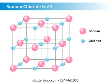 Sodium chloride, NaCl structure chemistry, Vector illustration. 