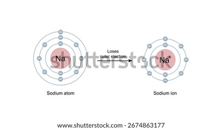 Sodium ion. Cation Structure, positively charged ion. Scientific Design. Vector Illustration.	