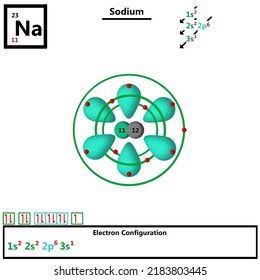 Sodium Na periodic table element atomic model displaying protons and neutrons in nucleus vector, electronic configuration of electrons in shells and orbitals orbiting atom quantum inorganic chemistry.