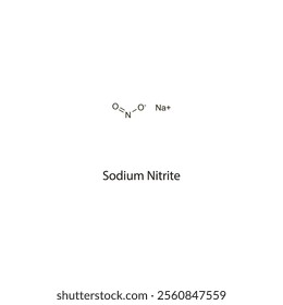 Sodium Nitrite flat skeletal molecular structure cholinesterase reactivator drug used in cyanide poisoning treatment. Vector illustration scientific diagram.