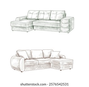 sofa vector sketch draw isolated