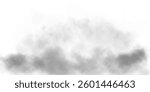 A soft, airy fog spreads across the scene, creating a subtle, ethereal atmosphere. Light gray mist with delicate diffusion blends seamlessly into the background, evoking a sense of calm and mystery.
