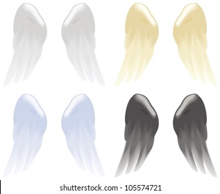 Soft angel wings in white, gold, blue and black isolated on white.