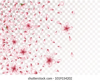 Vectores Imagenes Y Arte Vectorial De Stock Sobre Cherry Blossom