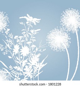 soft background flowers