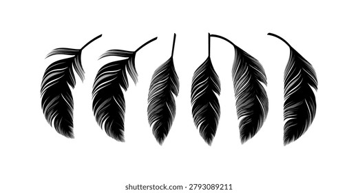 Soft bird plumage set featuring fluffy swan feathers with delicate textures, natural shapes, elegant curves, realistic details, decorative elements for luxury design, branding, packaging, wallpaper, print projects, and creative visual compositions