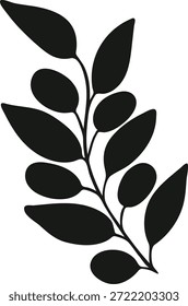 Soft black hand drawn olive branch, isolated botanical element for floral design
