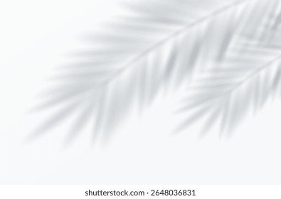 Sombras de folha de palma borradas suaves projetadas em um plano de fundo branco suave. Estética tropical tranquila e minimalista ideal para projetos de design. Ilustração do Vetor.