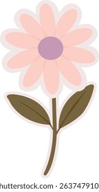 Soft blush pink daisy with dark center
