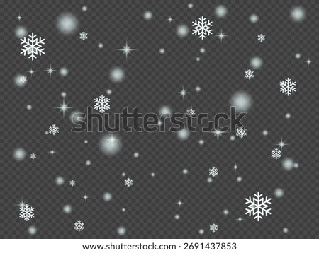 Soft Bokeh Snow Drop Transparent Overlay, Large Light Snowflake Winter Effect, Frosty Flakes Snow Drop