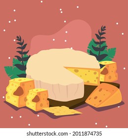 soft brie cheese in tray