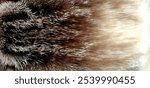 Soft brown cat fur texture. Natural texture of cat fur. Texture of a brown fur coat. Striped kaot wool. Natural animal fur. Fashion and design, interior design.