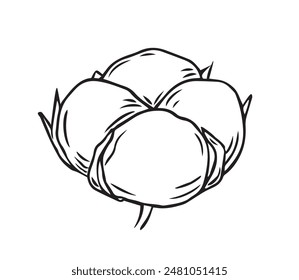 A soft bud on a branch of a cotton plant is drawn with lines isolated on a white background. Vector graphics of a simple drawing. Cotton flower is a material for making textiles.