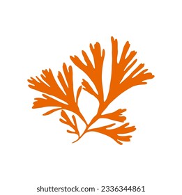 Soft bushy coral isolated anemone soft galaxy coral. Vector orange gorgonian seaweed icon. Underwater plant branches, tanks and aquarium sea decoration