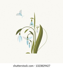 Soft card with snowdrops