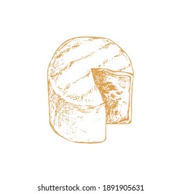 Queso suave con moho aislado en fondo blanco. Productos lácteos. Diseño de estilo vintage. Plantilla para postal, banner, afiche, diseño web, menú. Ilustración vectorial dibujada a mano.