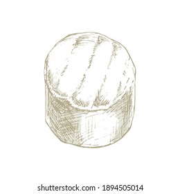 Soft cheese with mold isolated on white background. Dairy products. Vintage style design. Template for postcard, banner, poster, web design, menu. Hand Drawn vector illustration.