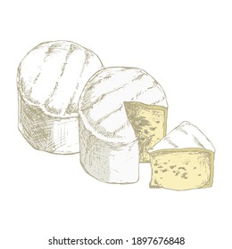 Soft cheese with mold isolated on white background. Dairy products. Vintage style design. Template for postcard, banner, poster, web design, menu. Hand Drawn vector illustration.
