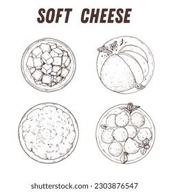 Soft cheese in plates top view sketch. Hand drawn vector illustration. Soft cheese collection.