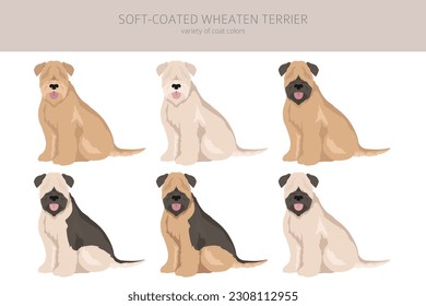 Soft coated Wheaten Terrier clipart. Different poses, coat colors set.  Vector illustration