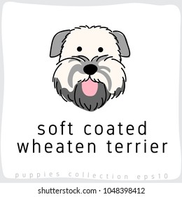 Soft Coated Wheaten Terrier : Dog Breed Collection : Vector Illustration