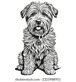 Soft Coated Wheaten Terrier dog portrait in vector, animal hand drawing for tattoo or tshirt print illustration