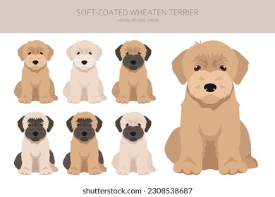 Soft coated Wheaten Terrier puppy clipart. Different poses, coat colors set.  Vector illustration