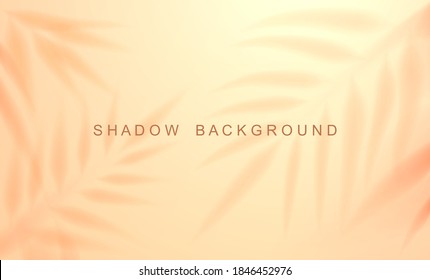 Soft color palm shadow background