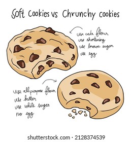 Soft cookie vs crunchy cookie info graphic vector illustration