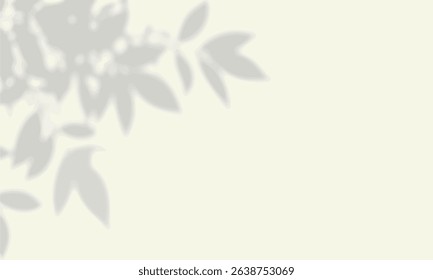 A soft and elegant background featuring natural leaf shadows inspired by sunlight filtering through trees.