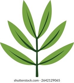 A soft, feathery green leaf with fine segments, symbolizing delicacy and the gentle beauty of natural forms in a minimalist design.