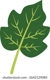 A soft, feathery green leaf with fine segments, symbolizing delicacy and the gentle beauty of natural forms in a minimalist design.