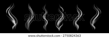 Soft flowing vapor and smoke lines rising like aroma from coffee, tea or BBQ. Realistic steam food effect for hot cuisine, cooking scenes, mug or kettle illustrations.