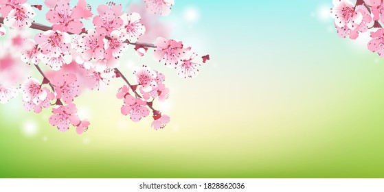Soft focus. Sakura blooms on a blurry background. Spring is coming. Cherry blossom branch. Romantic vector illustration. Background for wedding invitations.