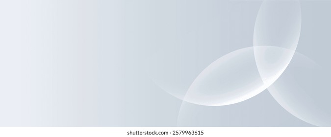 Soft gray background with overlapping translucent circles. The background is smooth and gray, creating a calm, modern style. Minimal abstract circles vector gradient background