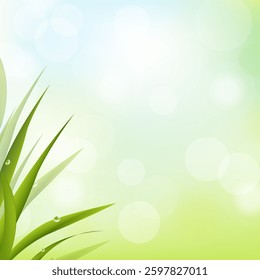 soft green background with grass