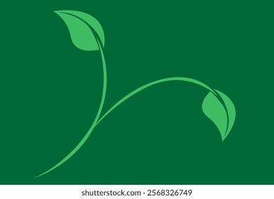 soft green plant on green background