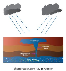 soft and hard water. hard water contains excess calcium and magnesium salts while soft water is free from these minerals