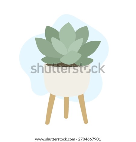 Soft indoor setup showcases layered succulent rosette forming gentle geometric greenery, succulent adding calming modern vibe, stylish botanical accent ideal for minimalist interior decor concepts.