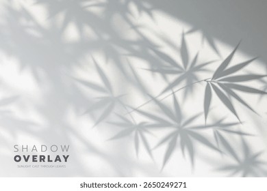 Soft leaf shadows cast on a bright, clean background. The natural sunlight creates an elegant, minimalistic overlay effect, perfect for use in design projects, presentations, social media graphics, or