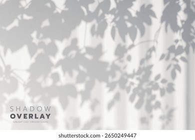 Soft leaf shadows cast on a bright, clean background. The natural sunlight creates an elegant, minimalistic overlay effect, perfect for use in design projects, presentations, social media graphics, or