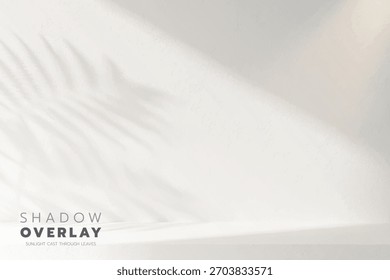 Weiche Blattschatten auf hellem, sauberem Hintergrund. Das natürliche Sonnenlicht erzeugt einen eleganten, minimalistischen Overlay-Effekt, der perfekt für Designprojekte, Präsentationen, Social-Media-Grafiken oder