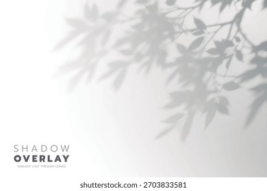 Sombras de hojas suaves proyectadas sobre un fondo brillante y limpio. La luz natural del sol crea un efecto de superposición elegante y minimalista, perfecto para su uso en proyectos de diseño, presentaciones, gráficos de redes sociales o