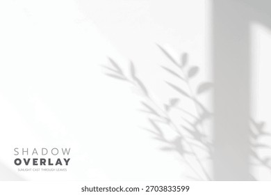 Sombras de hojas suaves proyectadas sobre un fondo brillante y limpio. La luz natural del sol crea un efecto de superposición elegante y minimalista, perfecto para su uso en proyectos de diseño, presentaciones, gráficos de redes sociales o