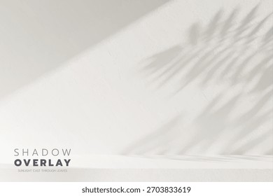Sombras de hojas suaves proyectadas sobre un fondo brillante y limpio. La luz natural del sol crea un efecto de superposición elegante y minimalista, perfecto para su uso en proyectos de diseño, presentaciones, gráficos de redes sociales o