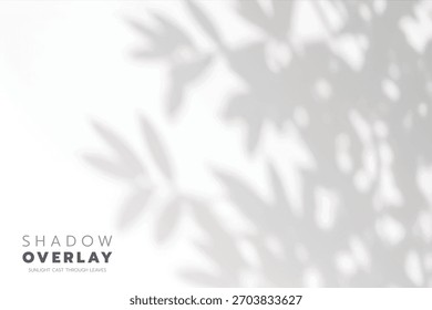 Soft leaf shadows cast on a bright, clean background. The natural sunlight creates an elegant, minimalistic overlay effect, perfect for use in design projects, presentations, social media graphics, or